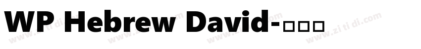 WP Hebrew David字体转换